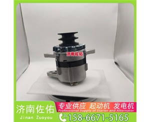 贵州4280005645起动机20409228发电机 斗山 DB/DL WP4.6 锡柴 CA4DF 斗山｜DX215｜DB58 卡特 336D2 C13 玉柴 YCK05 潍柴 WP2.3 启动机